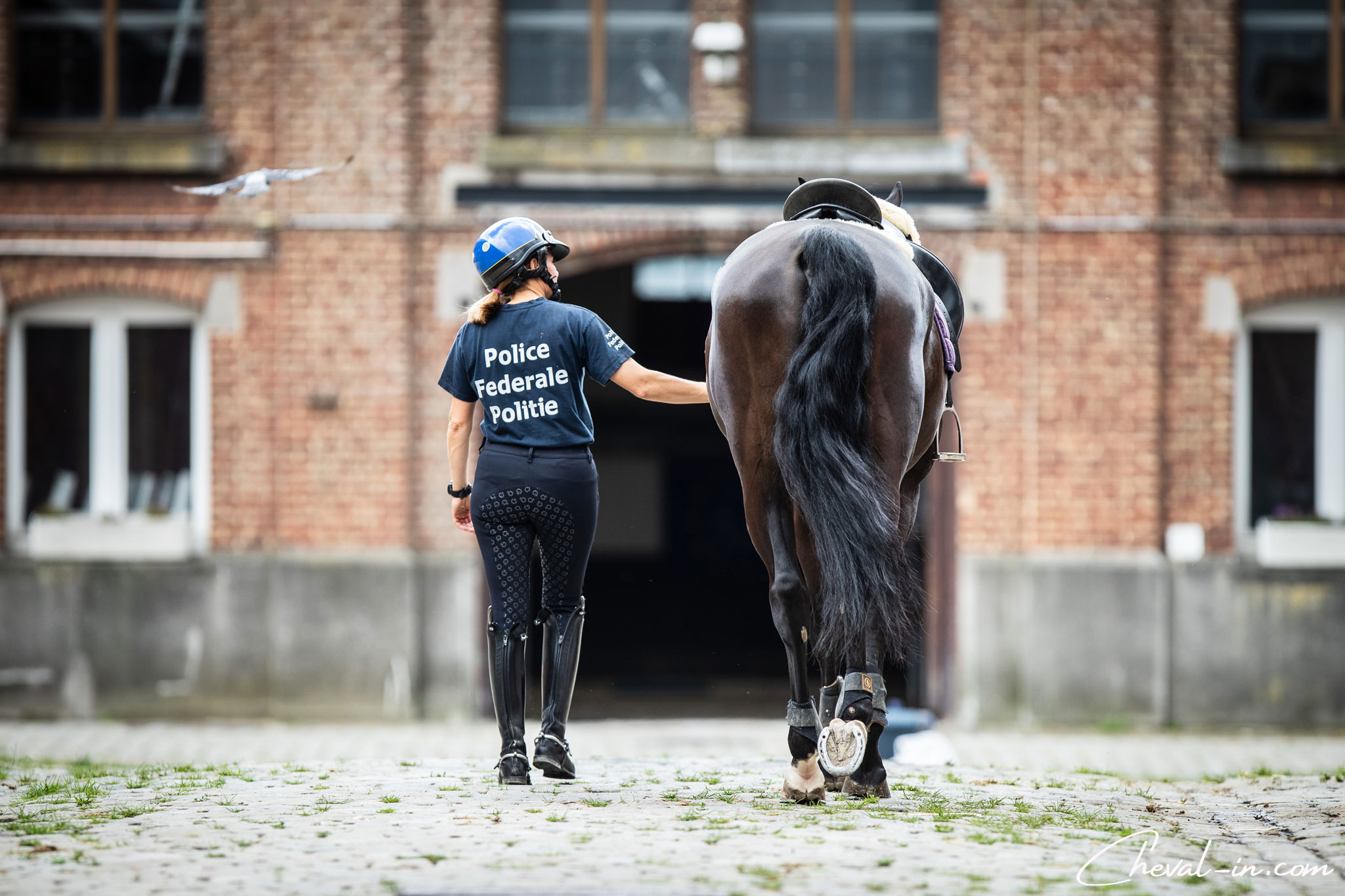police à cheval