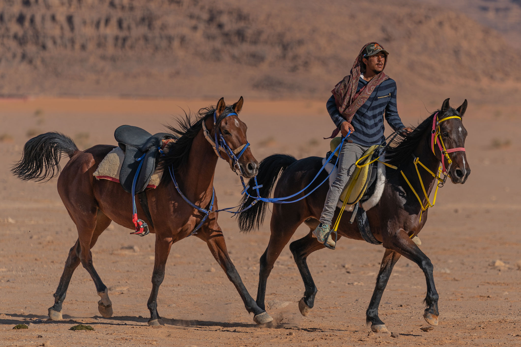 Gallops of Jordan
