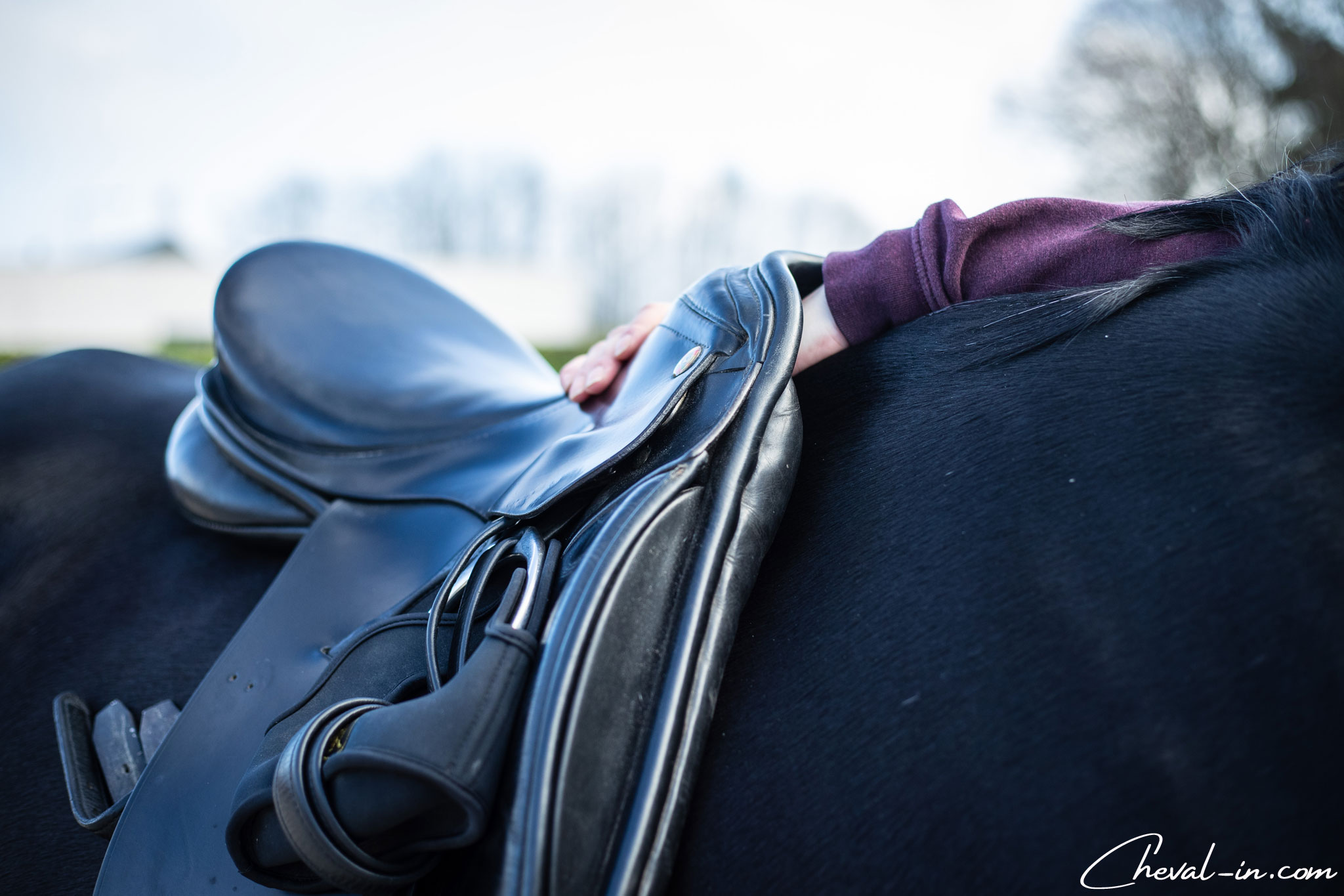 Comment savoir si sa selle est adaptée à son cheval ? – Blog