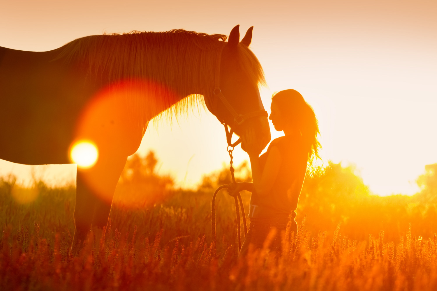 cheval vacances