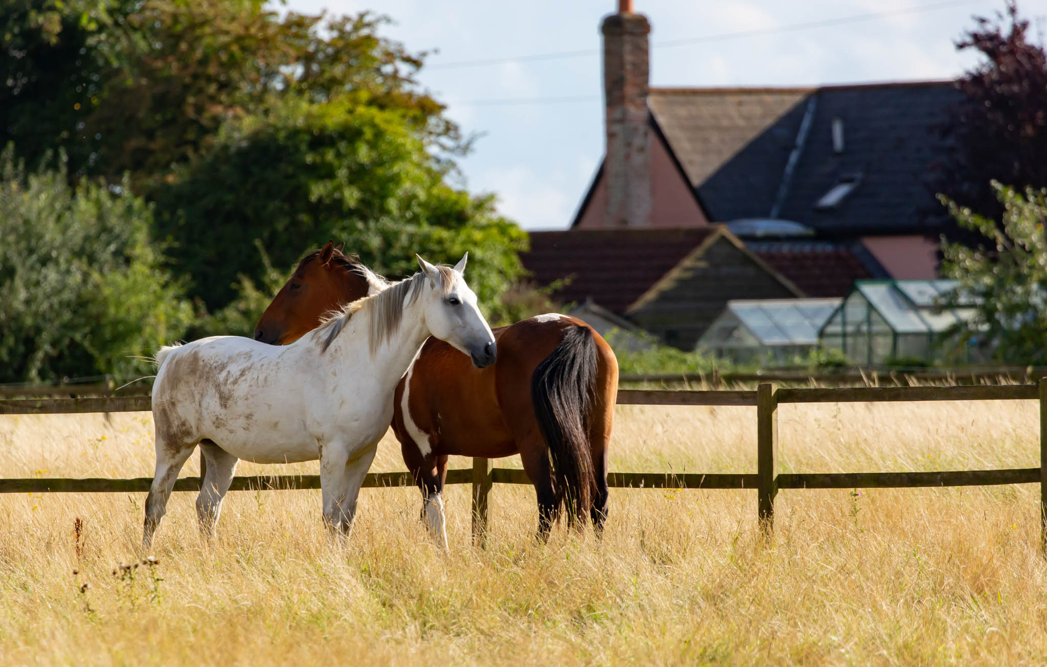 cheval vacances