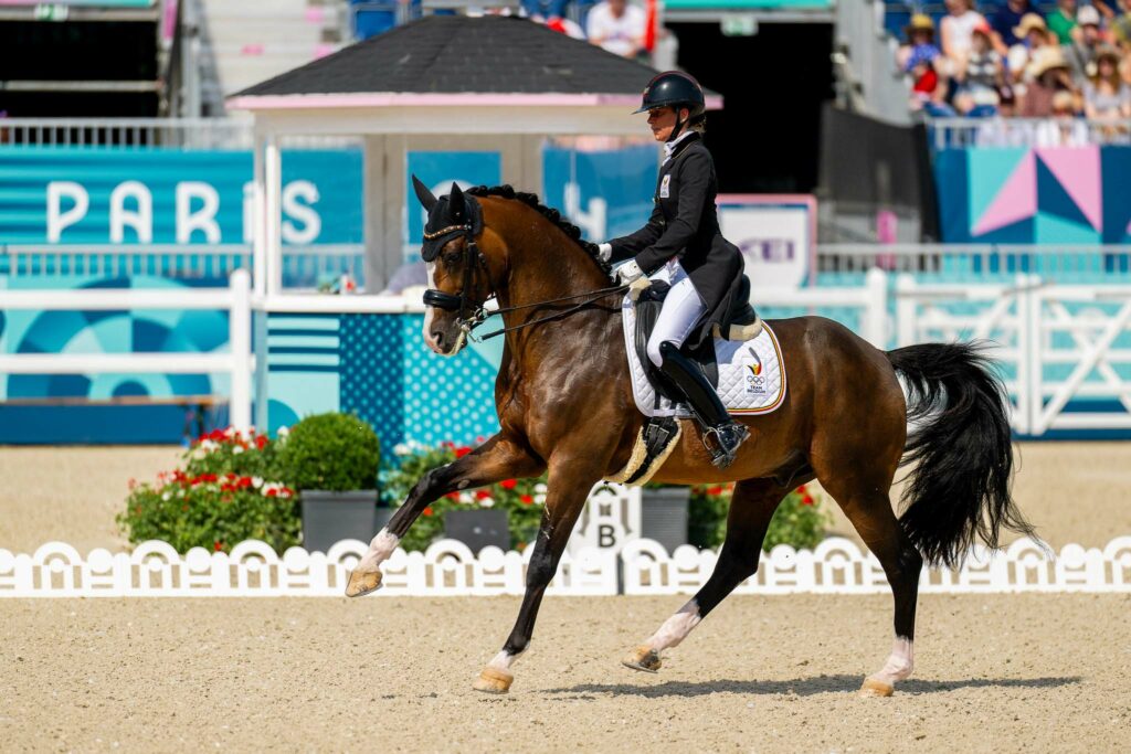 dressage paris