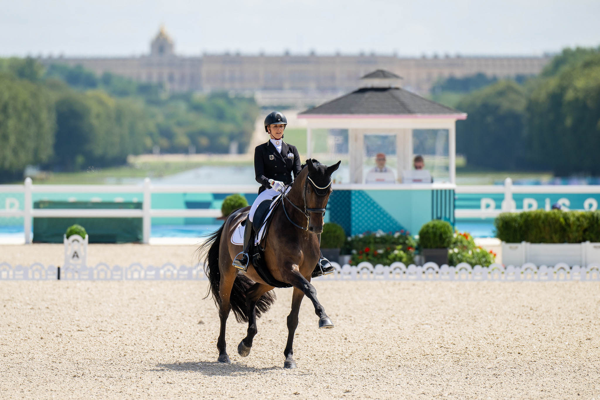 dressage paris