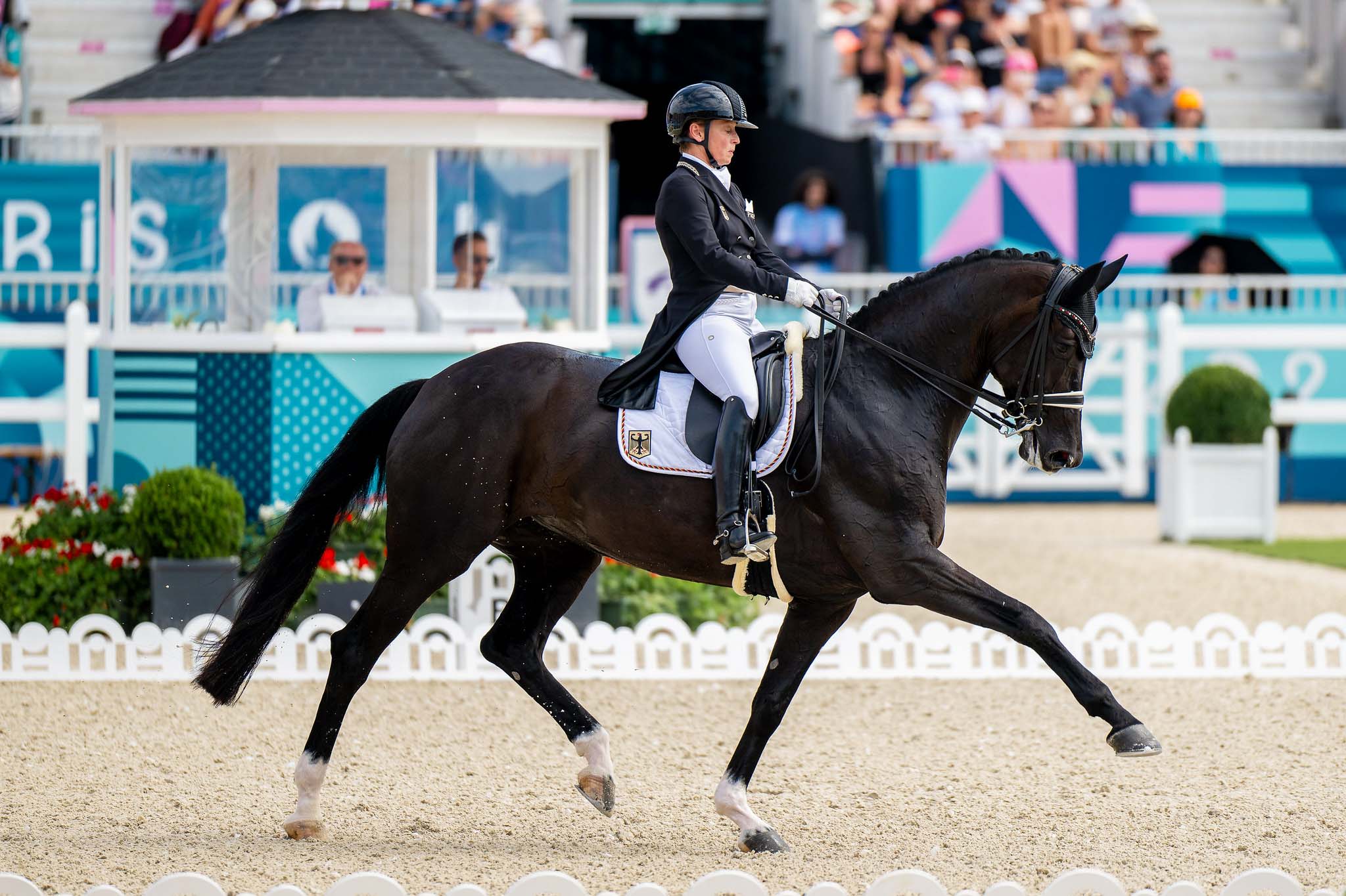 dressage paris