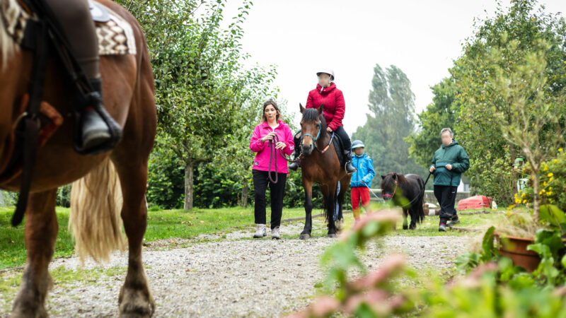 Sellia, les bienfaits de l’hippothérapie pour tous