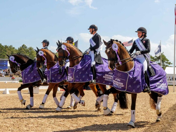 La Belgique aura bientôt sa Coupe des nations en dressage !