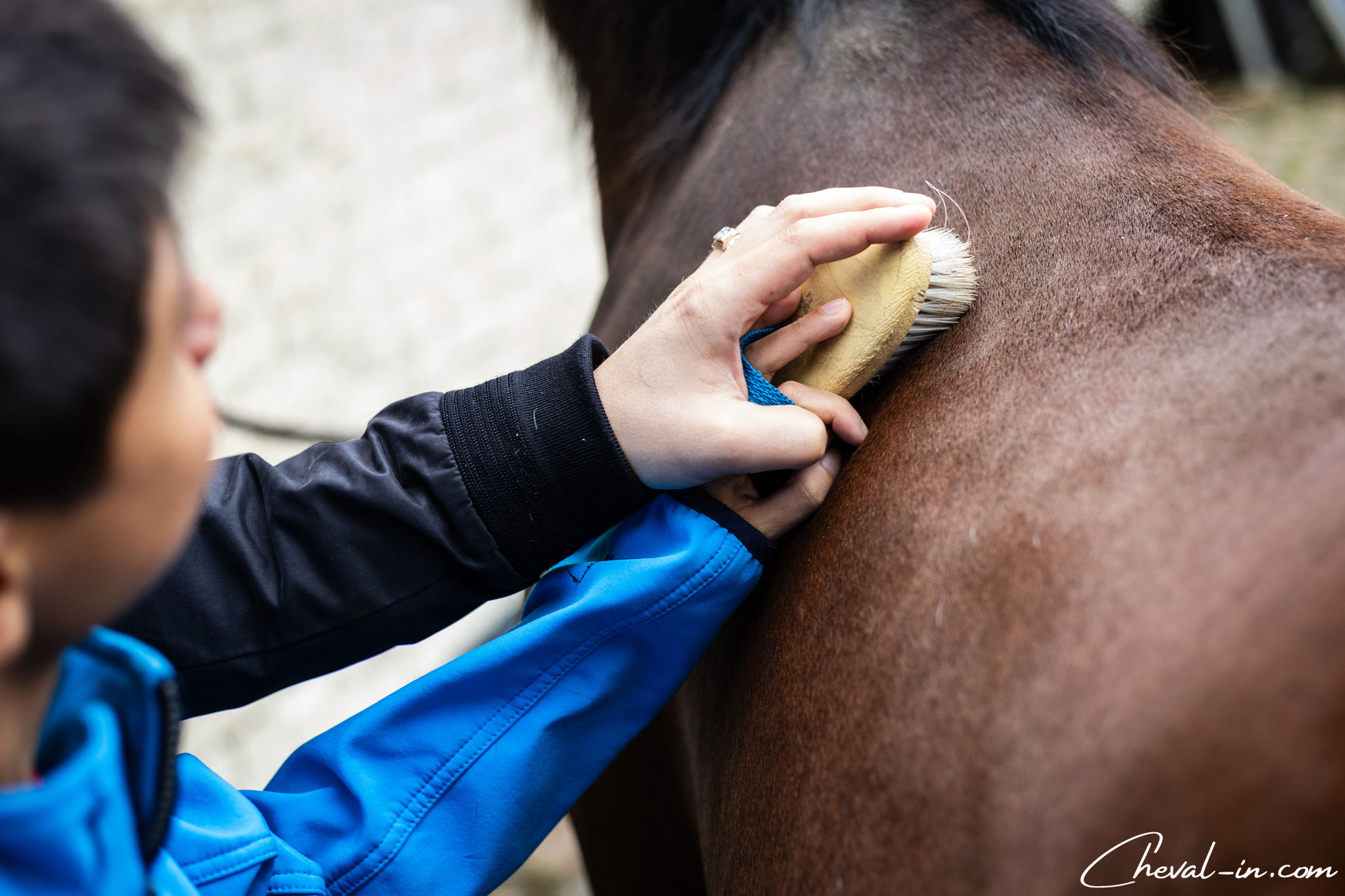 cadeaux cavaliers